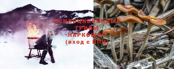 прущая мука Володарск